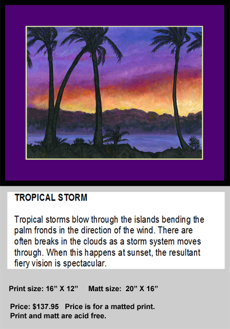 Tropical Storm at Sunset
